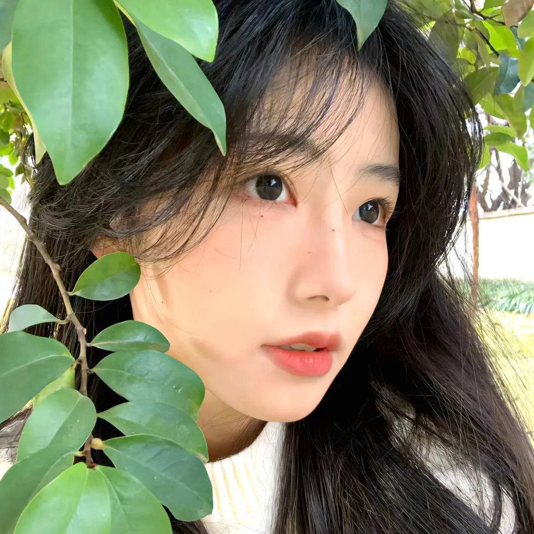 心灵梦土